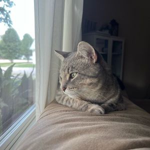 Meet your Posher, Kerry